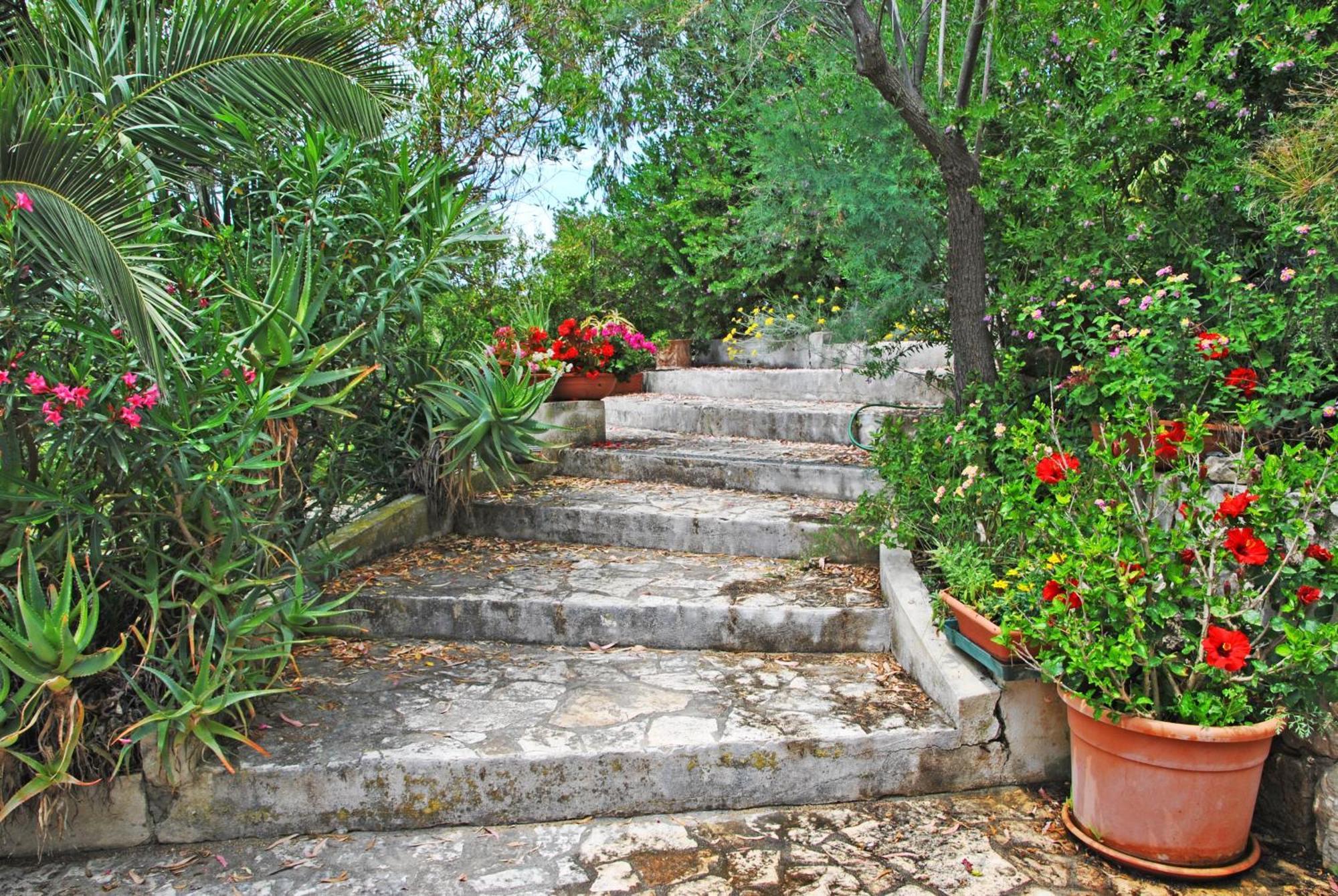 ספרלונגה Villa Giulia Resort With Private Pool And Stunning Sea Views מראה חיצוני תמונה